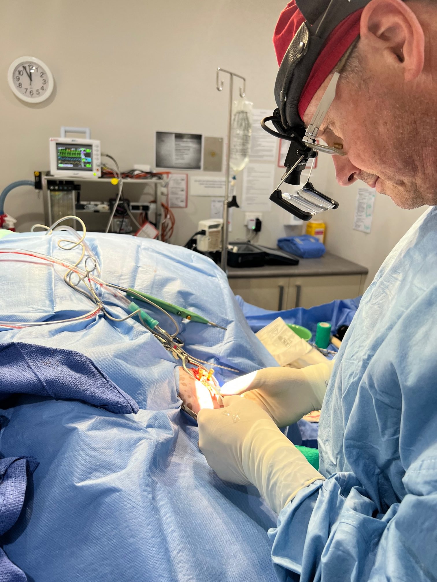 Dr Michael Heath TPLO surgery