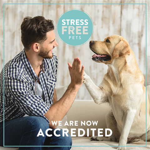 Stress Free Pets Accreditation for dogs