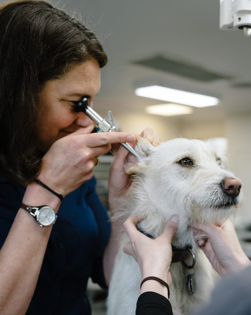 Stress Free introduction to ear exams